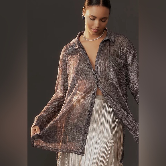 Pilot Metallic Buttowndown shirt - Anthropologie size small - silver - Picture 2 of 4